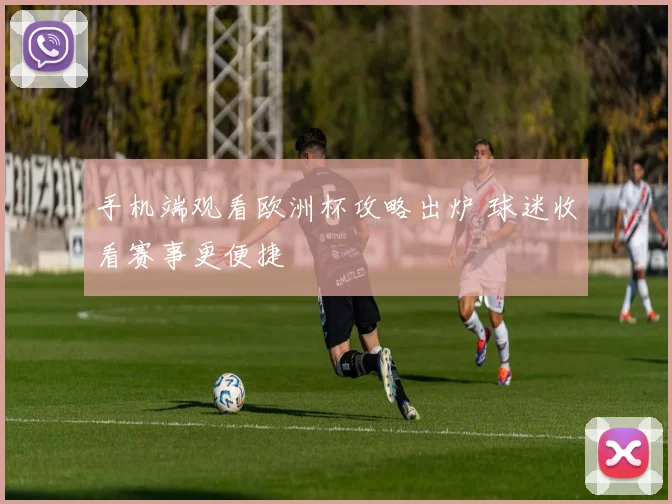 手机端观看欧洲杯攻略出炉 球迷收看赛事更便捷