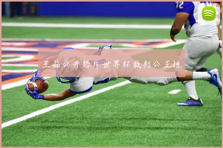 王晶公开怒斥世界杯裁判公正性