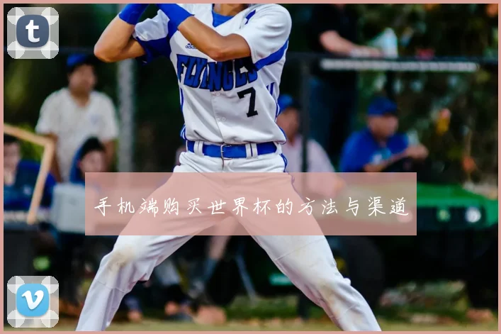 手机端购买世界杯的方法与渠道