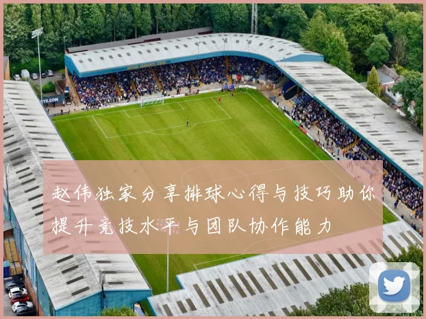 赵伟独家分享排球心得与技巧助你提升竞技水平与团队协作能力