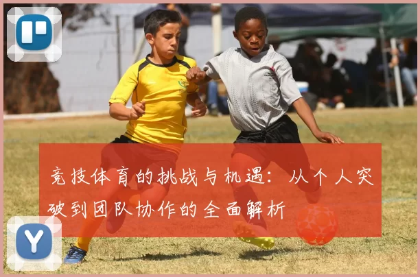 竞技体育的挑战与机遇：从个人突破到团队协作的全面解析