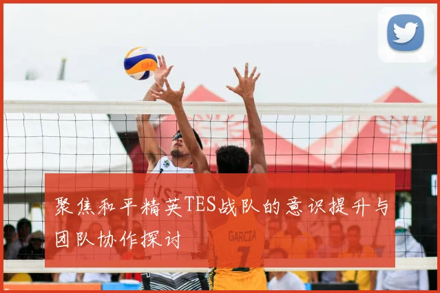 聚焦和平精英TES战队的意识提升与团队协作探讨