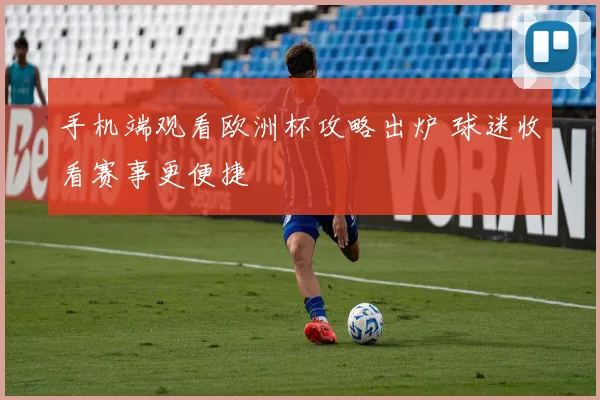 手机端观看欧洲杯攻略出炉 球迷收看赛事更便捷