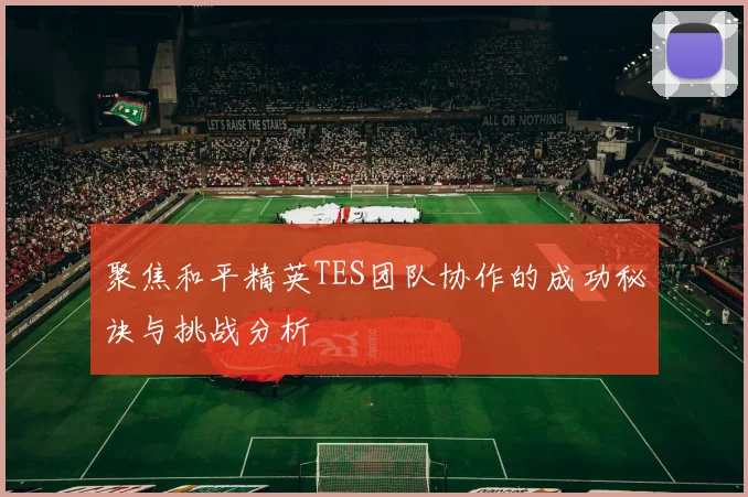 聚焦和平精英TES团队协作的成功秘诀与挑战分析
